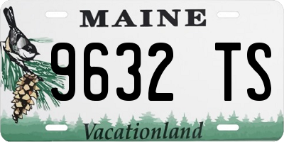 ME license plate 9632TS