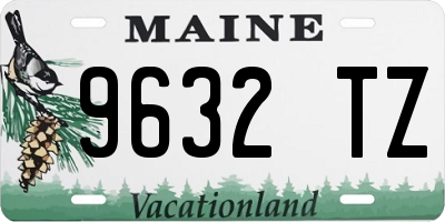 ME license plate 9632TZ