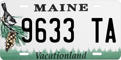 ME license plate 9633TA