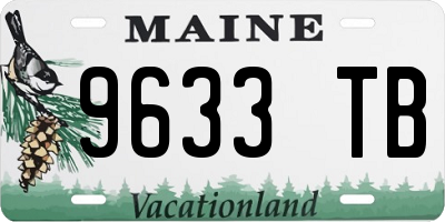 ME license plate 9633TB