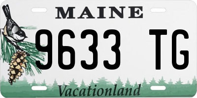 ME license plate 9633TG
