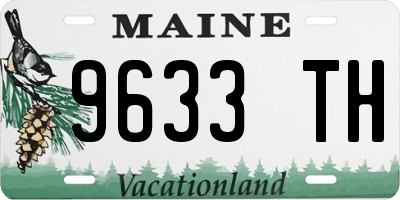 ME license plate 9633TH