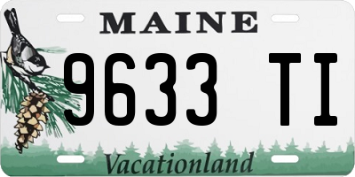 ME license plate 9633TI