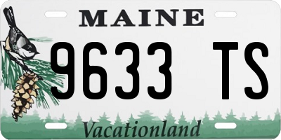 ME license plate 9633TS