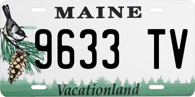 ME license plate 9633TV