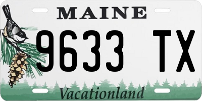 ME license plate 9633TX