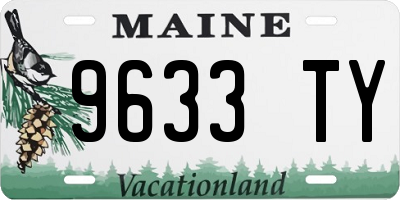 ME license plate 9633TY
