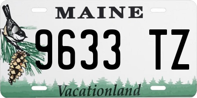 ME license plate 9633TZ