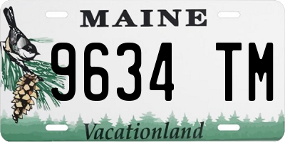 ME license plate 9634TM
