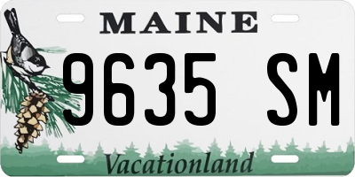 ME license plate 9635SM