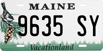 ME license plate 9635SY