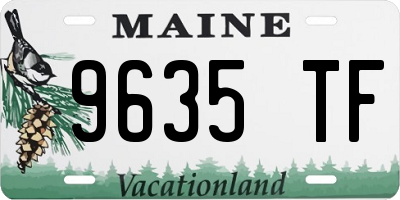 ME license plate 9635TF