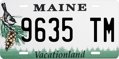 ME license plate 9635TM
