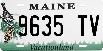 ME license plate 9635TV