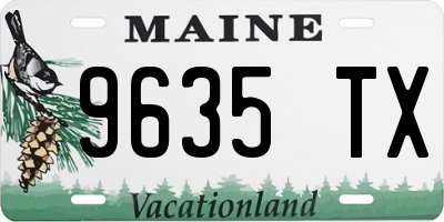 ME license plate 9635TX