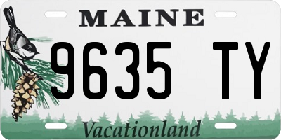ME license plate 9635TY