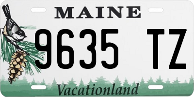 ME license plate 9635TZ