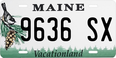 ME license plate 9636SX