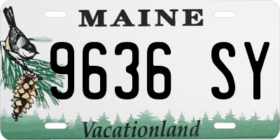 ME license plate 9636SY