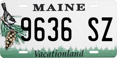 ME license plate 9636SZ