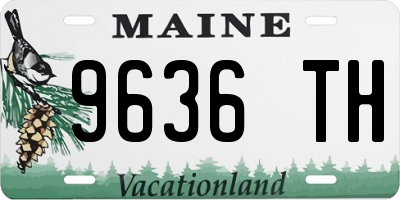 ME license plate 9636TH