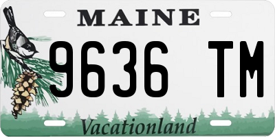 ME license plate 9636TM