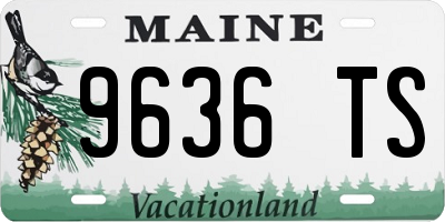 ME license plate 9636TS
