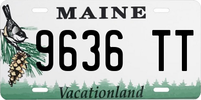 ME license plate 9636TT