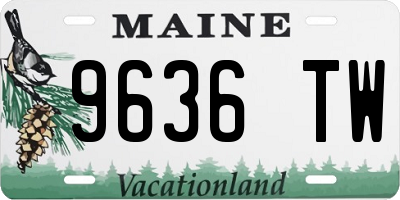 ME license plate 9636TW