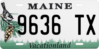 ME license plate 9636TX