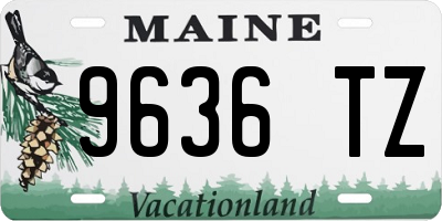 ME license plate 9636TZ
