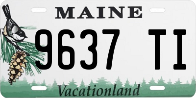 ME license plate 9637TI
