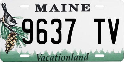 ME license plate 9637TV
