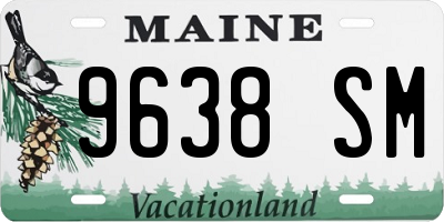ME license plate 9638SM