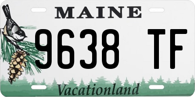 ME license plate 9638TF
