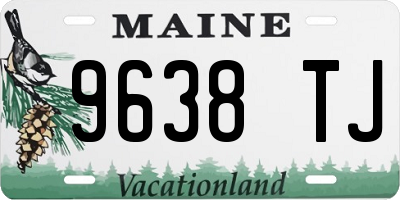 ME license plate 9638TJ