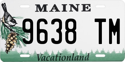 ME license plate 9638TM