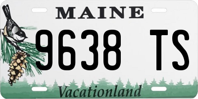 ME license plate 9638TS
