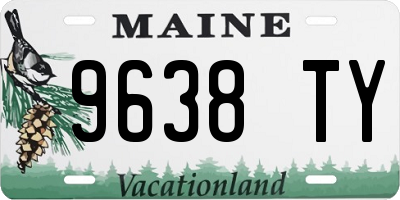 ME license plate 9638TY