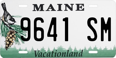 ME license plate 9641SM