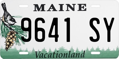 ME license plate 9641SY