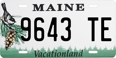 ME license plate 9643TE