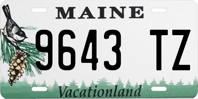 ME license plate 9643TZ