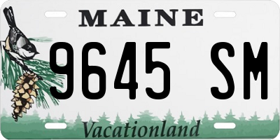 ME license plate 9645SM