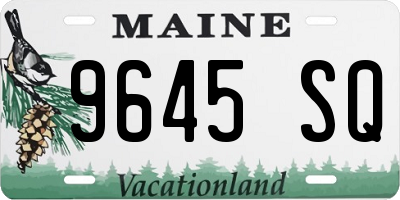 ME license plate 9645SQ