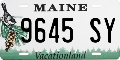 ME license plate 9645SY