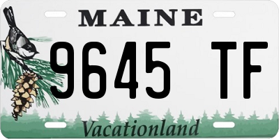 ME license plate 9645TF