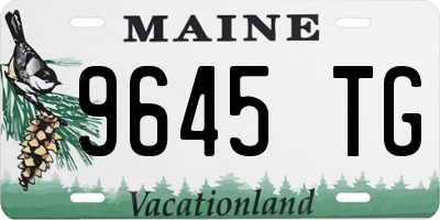 ME license plate 9645TG