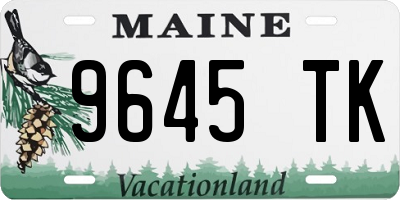 ME license plate 9645TK