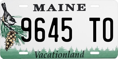 ME license plate 9645TO